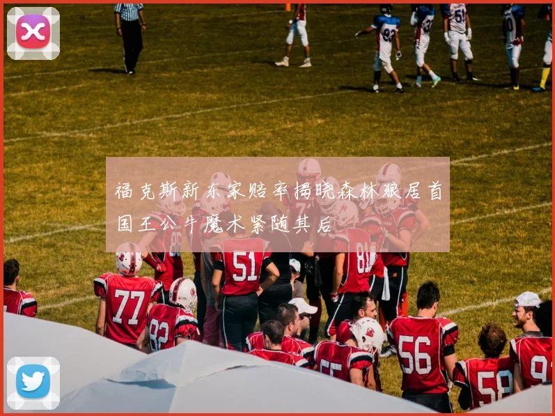 福克斯新东家赔率揭晓森林狼居首国王公牛魔术紧随其后